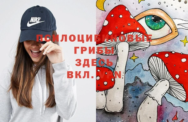2c-b Алексин